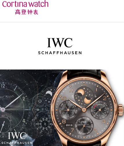 iwc watches price singapore|iwc watches price range.